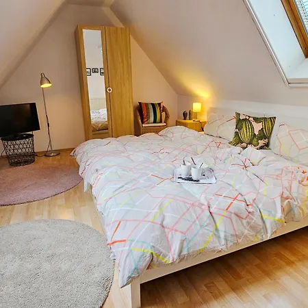 Birkenstrasse 11a 6 דירה *